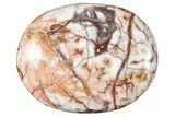 1.5" Polished Rosetta Jasper Worry Stones - Photo 3